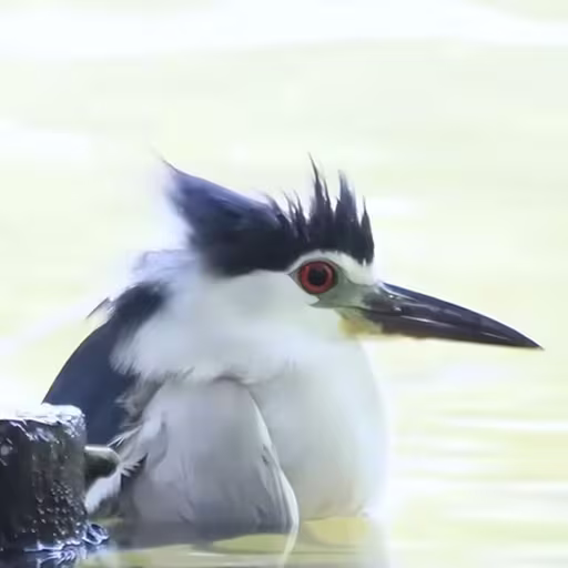 Yukongze